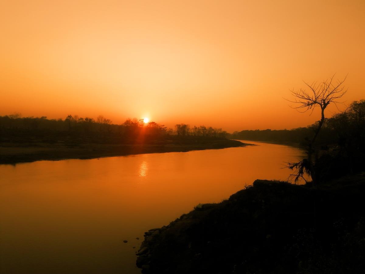 River Park Retreat Sauraha Buitenkant foto